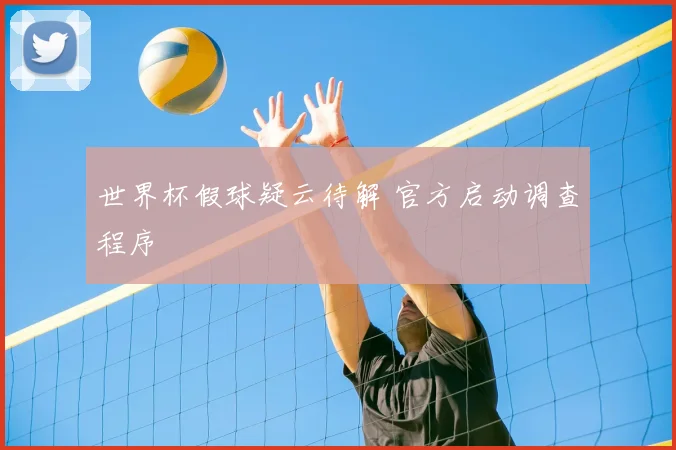 世界杯假球疑云待解 官方启动调查程序