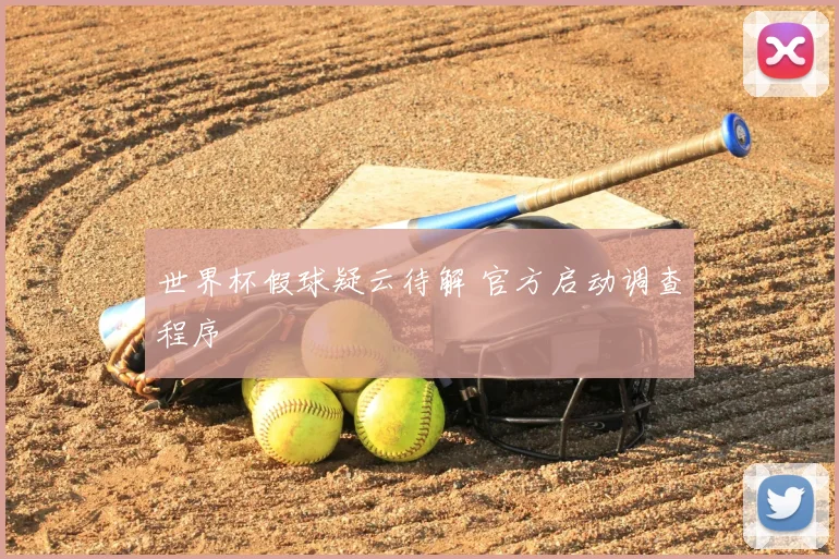 世界杯假球疑云待解 官方启动调查程序